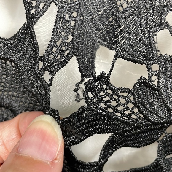 Rare Alice + Olivia Guipure Embroidered Lace Dress Fit Flare Mini Black Cream 8 - Picture 15 of 15